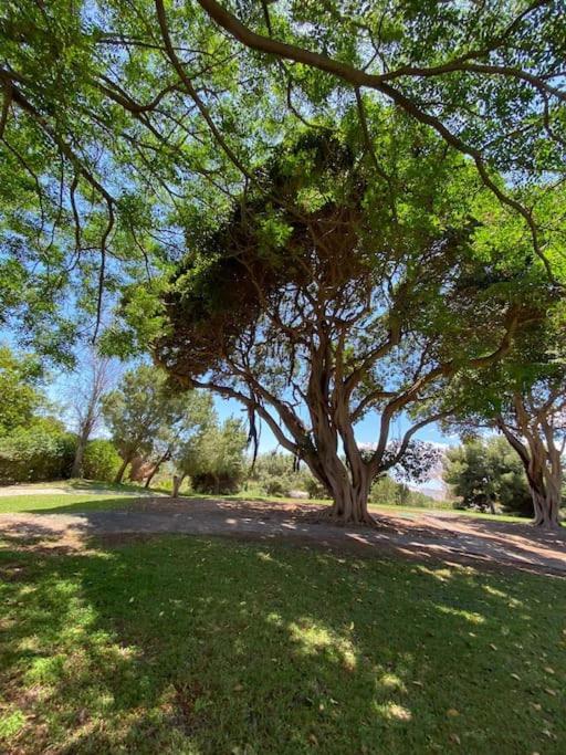 Apt Moderno Con Vistas, Recepcion 24 Hs Y Piscinas Benalmadena Luaran gambar